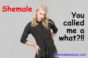 Is shemale a derogatory term?